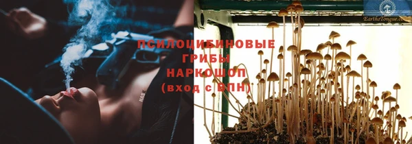 spice Сафоново