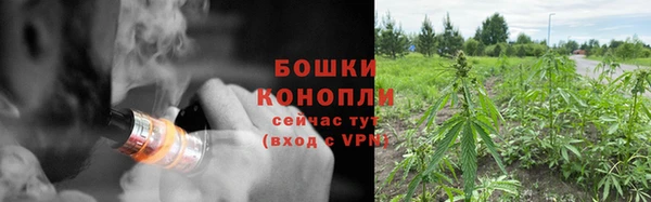 дурь Алексеевка