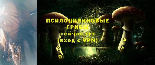 дурь Алексеевка