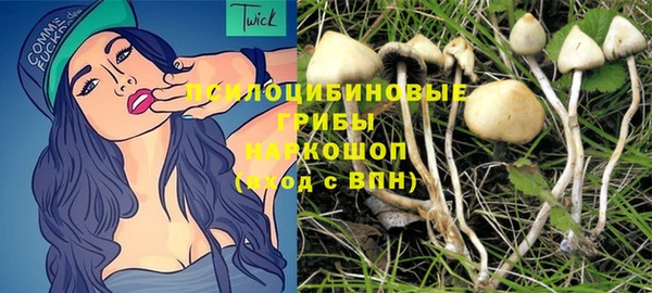 героин Алексин
