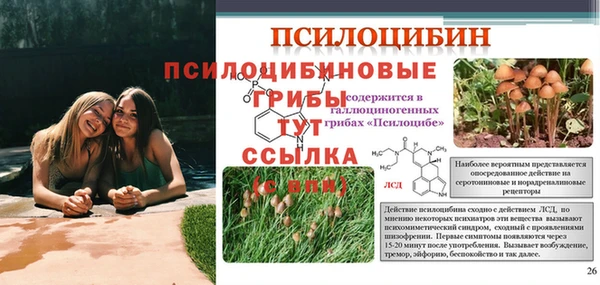 героин Алексин