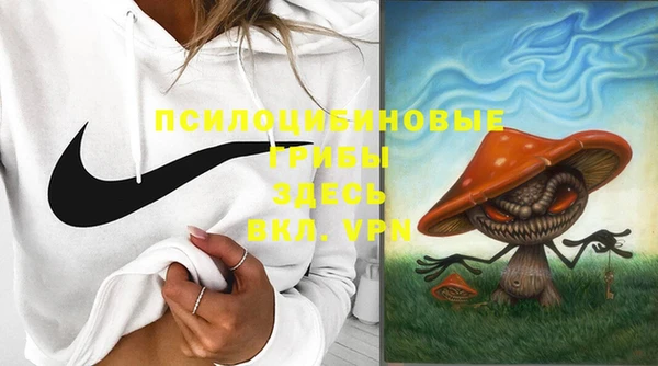 героин Алексин