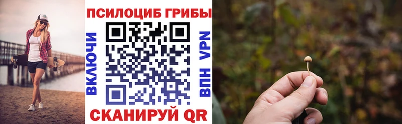 гидра ссылки  Боровск  Псилоцибиновые грибы Magic Shrooms 